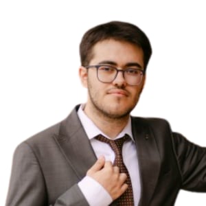 Portret Teodor Lepadatu, mentor · programare